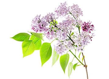 《夜勤人》开发商制作《英雄联盟》外传春季发售